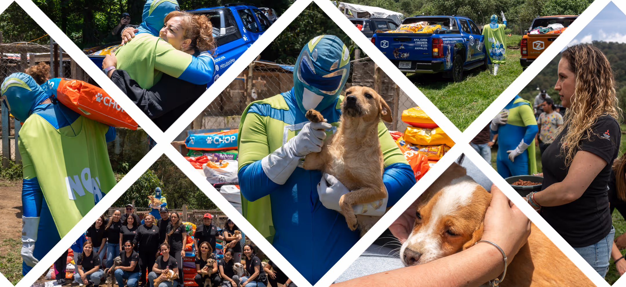 Mitsubishi Motors y Zadrigman superan meta de donación por el Día del Perro con más de 7 toneladas de croquetas para albergues Mitsubishi Motors y Zadrigman superan meta de donación por el Día del Perro con más de 7 toneladas de croquetas para albergues